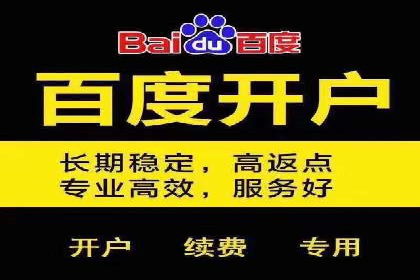 SEM竞价代运营：案例展示数据分析与应用